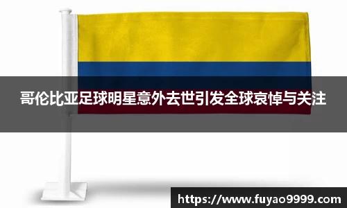 哥伦比亚足球明星意外去世引发全球哀悼与关注